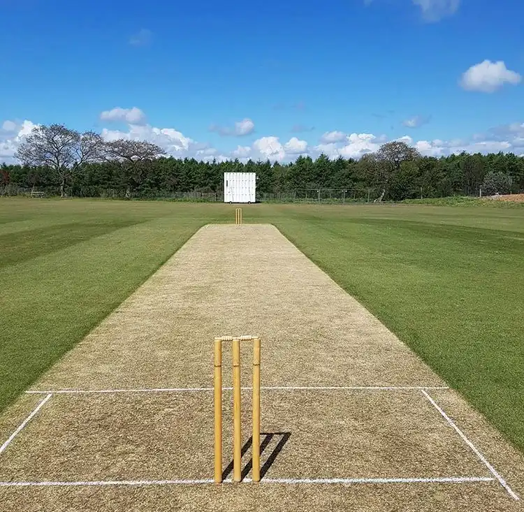 Hawkinge Cricket — popping crease play