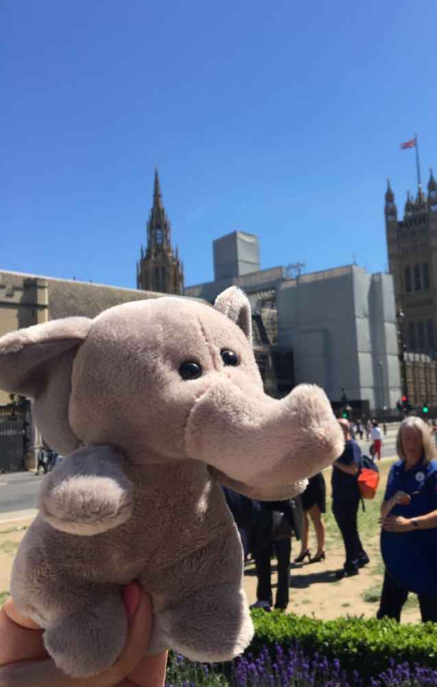 Ellie Elephant visited the Houses of Parliament